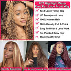 Highlight Ombre Lace Front Wig