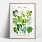 1pc Green Botanical Leaves Interior Art Print