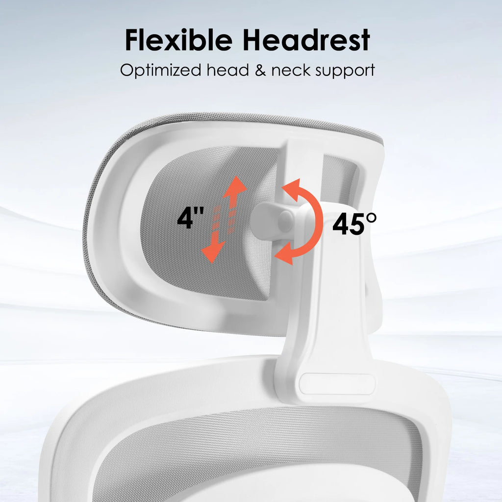 Ergonomic Office Chair