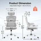 Ergonomic Office Chair