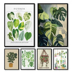 1pc Green Botanical Leaves Interior Art Print