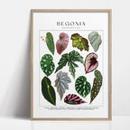 1pc Green Botanical Leaves Interior Art Print