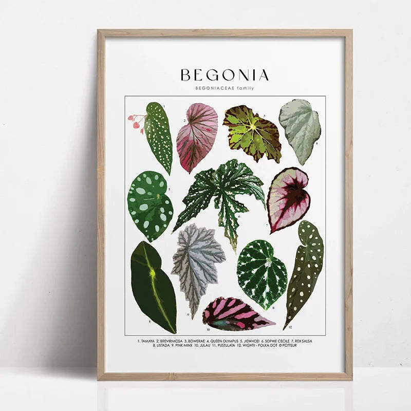 1pc Green Botanical Leaves Interior Art Print