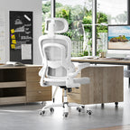 Ergonomic Office Chair