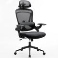 Ergonomic Mesh Adjustable Lumbar Support Office Chair