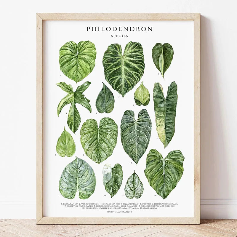 1pc Green Botanical Leaves Interior Art Print