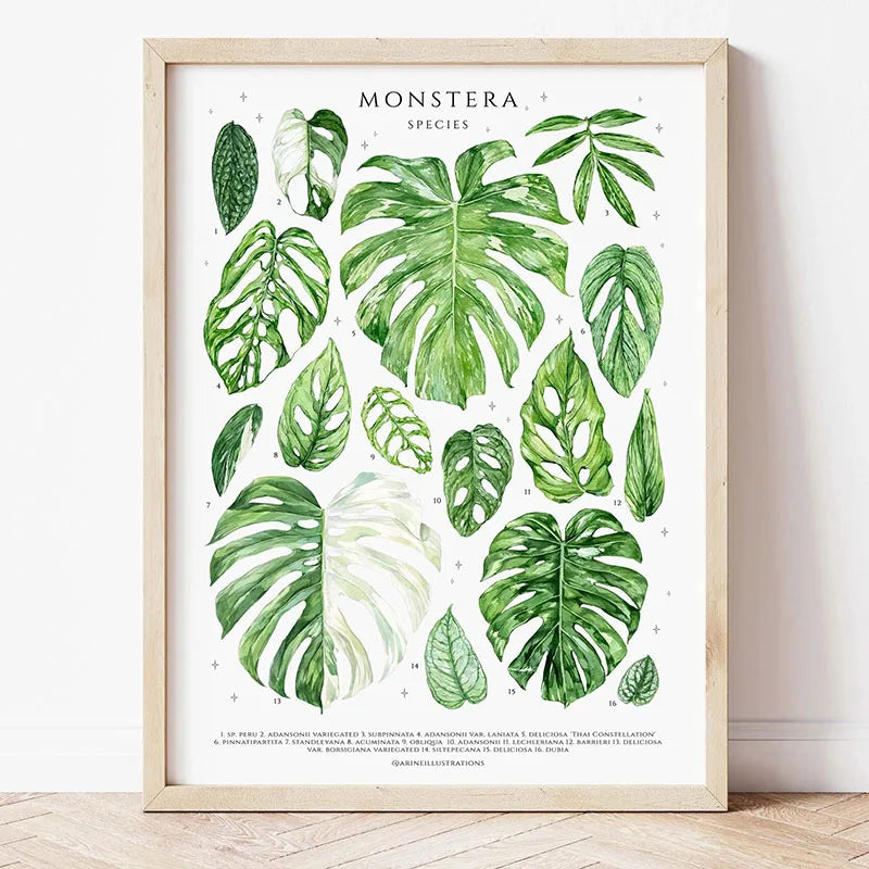1pc Green Botanical Leaves Interior Art Print
