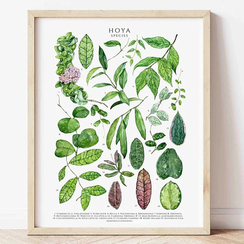 1pc Green Botanical Leaves Interior Art Print