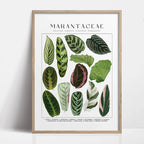 1pc Green Botanical Leaves Interior Art Print