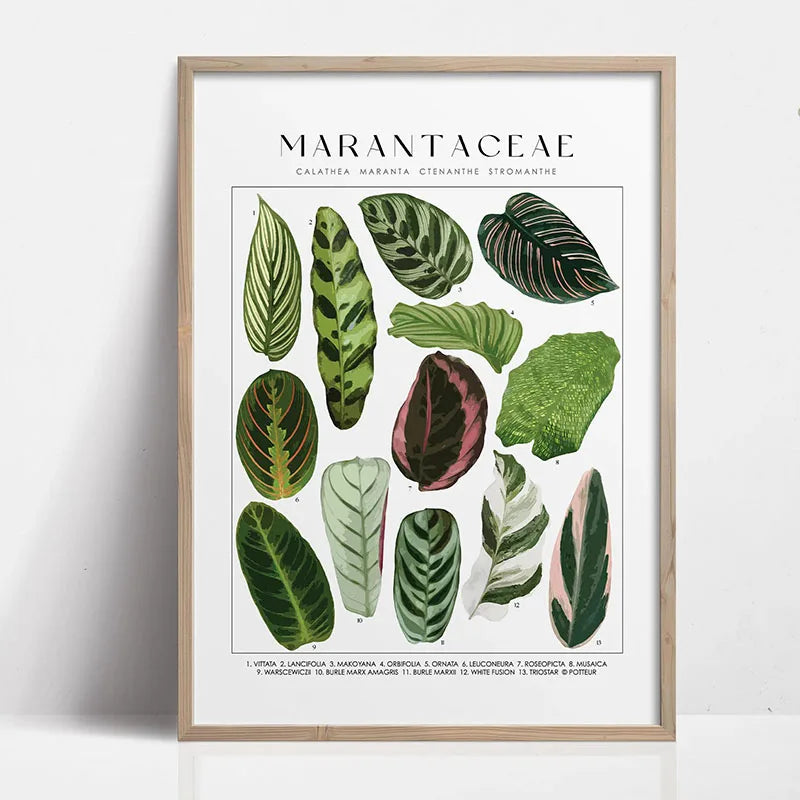 1pc Green Botanical Leaves Interior Art Print