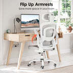 Ergonomic Office Chair