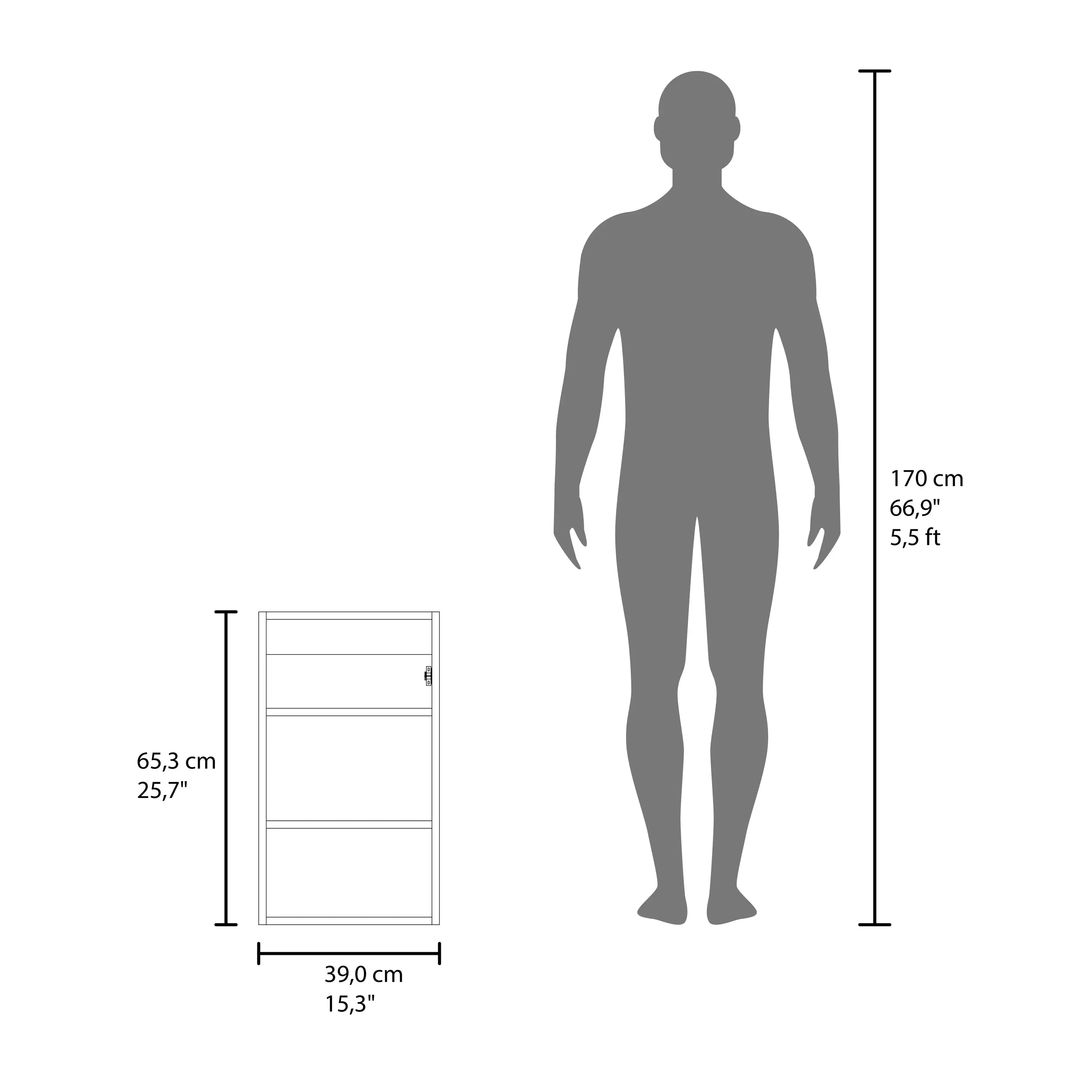 Narrow  Mirror Medicine Cabinet