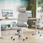 Ergonomic Office Chair